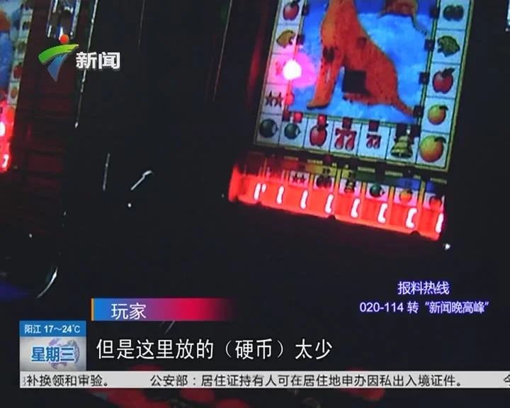 南宫国际pg - 经典水果老虎机展示